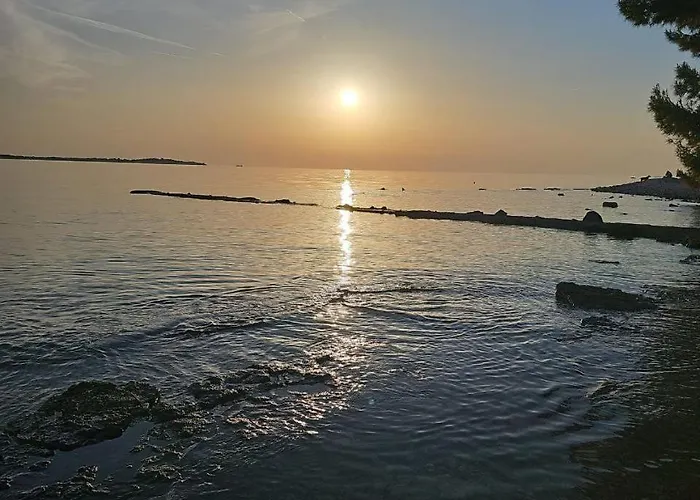 아파트 Weisse Feder